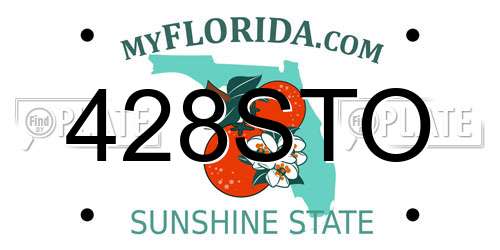 428STO Florida License Plate