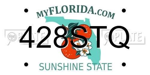 428STQ Florida License Plate