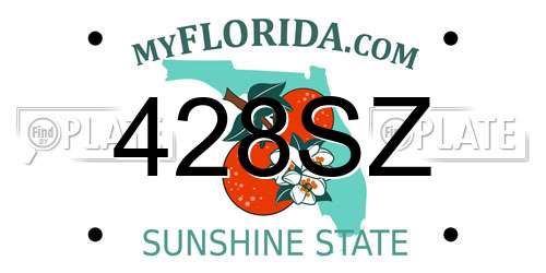 428SZ Florida License Plate