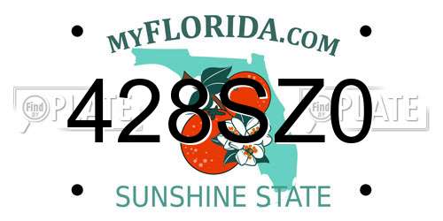 428SZ0 Florida License Plate
