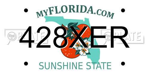 428XER Florida License Plate