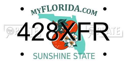 428XFR Florida License Plate