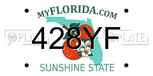 428YF Florida License Plate