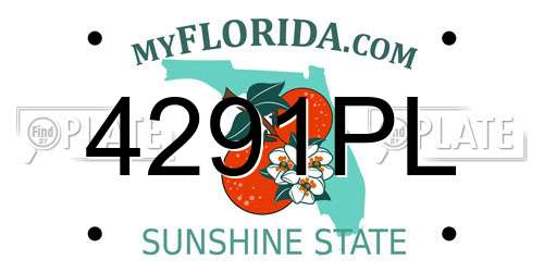 4291PL Florida License Plate