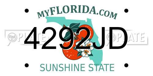 4292JD Florida License Plate