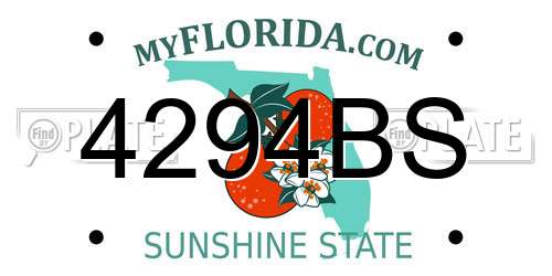 4294BS Florida License Plate