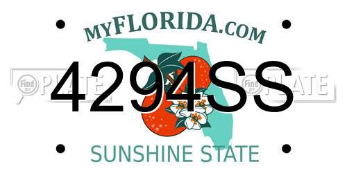 4294SS Florida License Plate