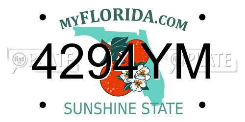 4294YM Florida License Plate