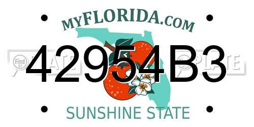 42954B3 Florida License Plate