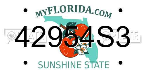 42954S3 Florida License Plate