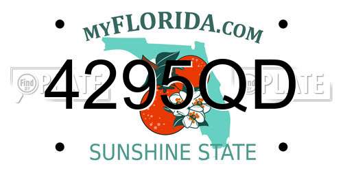 4295QD Florida License Plate