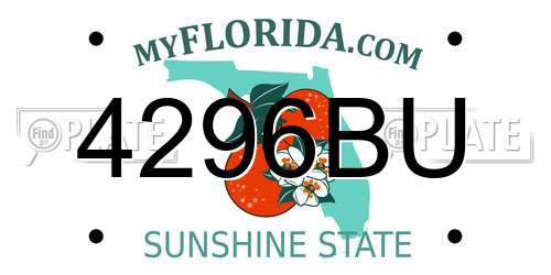4296BU Florida License Plate