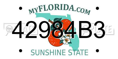 42984B3 Florida License Plate