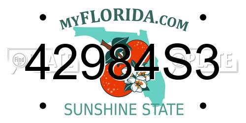 42984S3 Florida License Plate