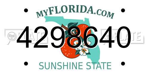 4298640 Florida License Plate