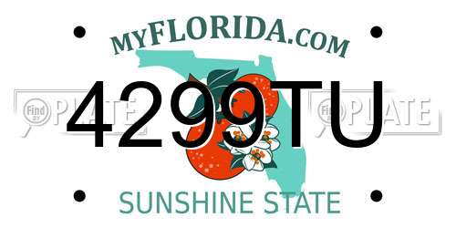 4299TU Florida License Plate