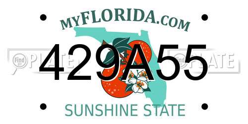 429A55 Florida License Plate