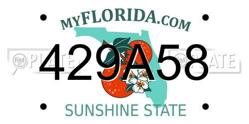 429A58 Florida License Plate