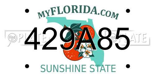 429A85 Florida License Plate