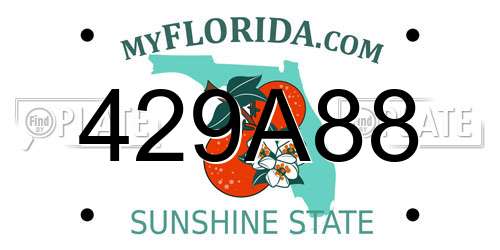 429A88 Florida License Plate