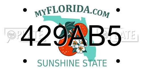 429AB5 Florida License Plate