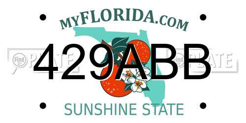 429ABB Florida License Plate
