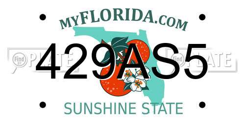 429AS5 Florida License Plate