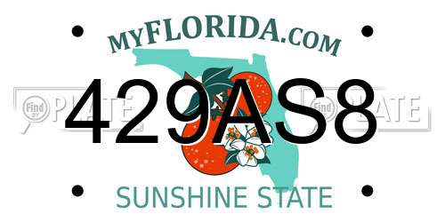 429AS8 Florida License Plate