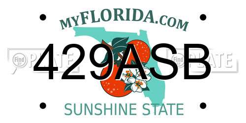 429ASB Florida License Plate