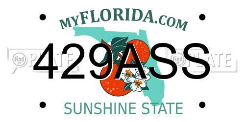 429ASS Florida License Plate