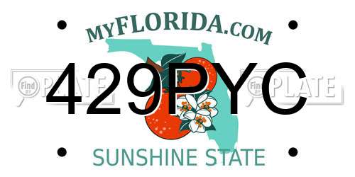 429PYC Florida License Plate