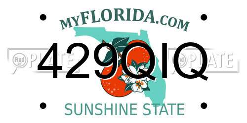 429QIQ Florida License Plate