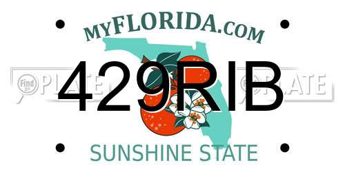 429RIB Florida License Plate