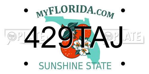 429TAJ Florida License Plate