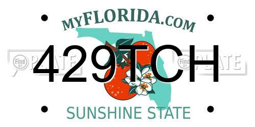 429TCH Florida License Plate