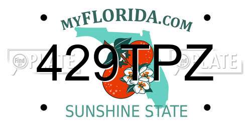 429TPZ Florida License Plate