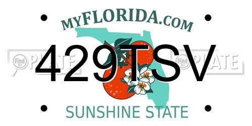 429TSV Florida License Plate