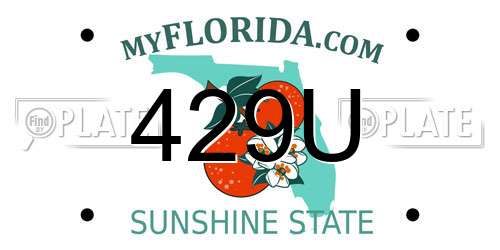 429U Florida License Plate