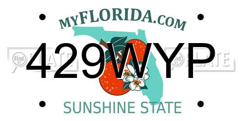 429WYP Florida License Plate
