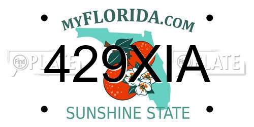 429XIA Florida License Plate