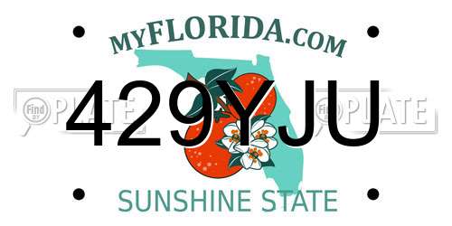 429YJU Florida License Plate