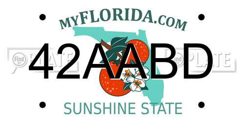 42AABD Florida License Plate