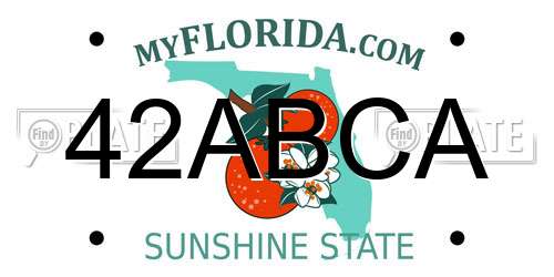 42ABCA Florida License Plate