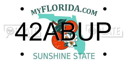 42ABUP Florida License Plate