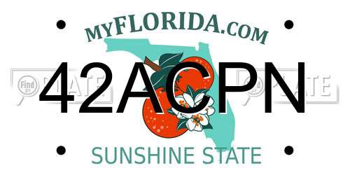 42ACPN Florida License Plate