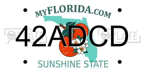 42ADCD Florida License Plate
