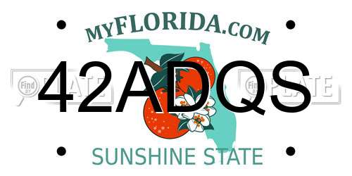 42ADQS Florida License Plate