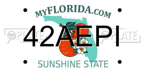 42AEPI Florida License Plate