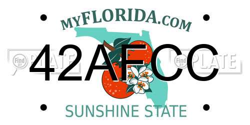 42AFCC Florida License Plate