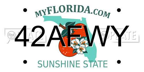 42AFWY Florida License Plate